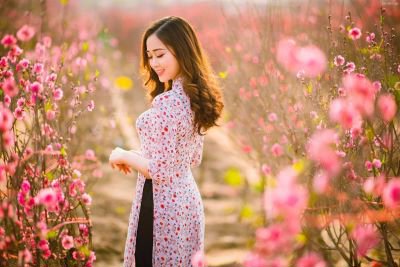 Ưu tiên nguồn lực xây dựng tỉnh đạt chuẩn nông thôn mới